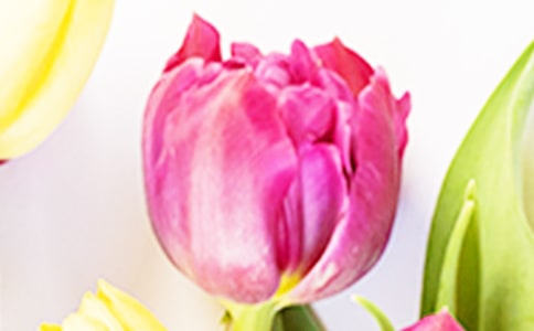 ������˵˵