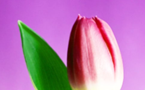 �����������_�����������