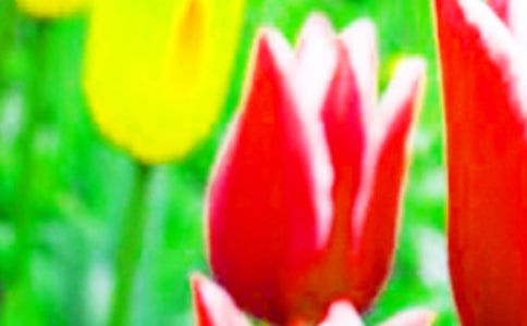 ����������400�֣�ͨ��29ƪ��