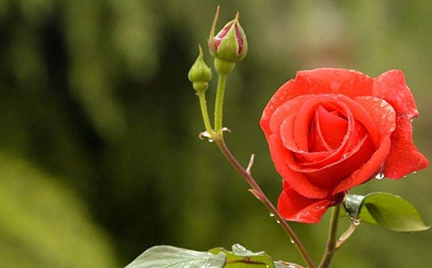 д�¼���д������