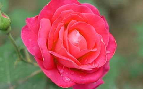 �¼�����������