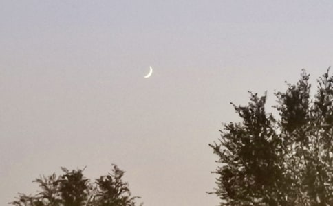 星星和月亮的伤感说说