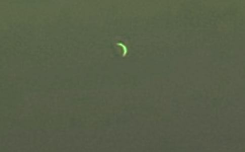 ��д�����ľ���