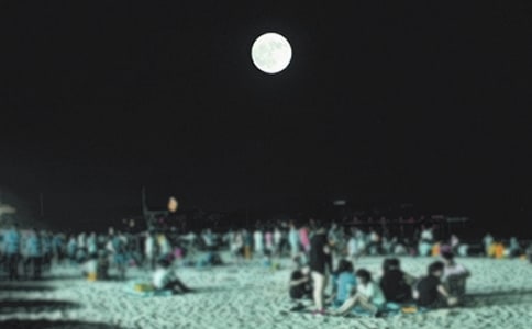 ��֦����,������Բɢ��