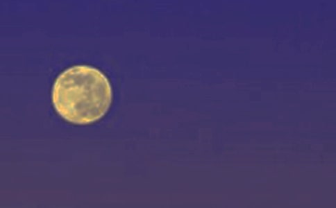 ��Բ֮ҹ����