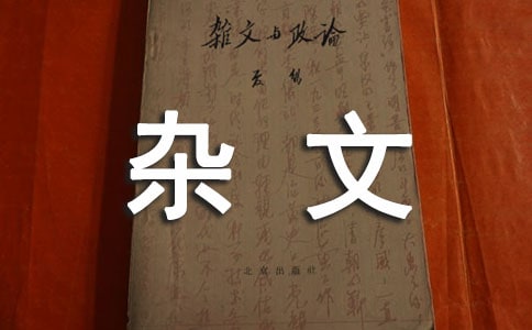 �ȼ۽���������