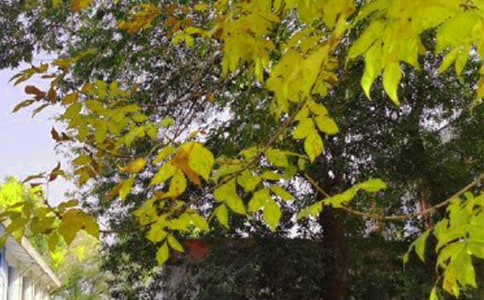 ����������簲����165��