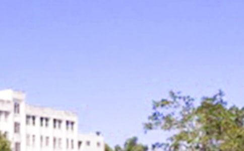 2023�����ף��������簲�ʺ�����Ž���50��