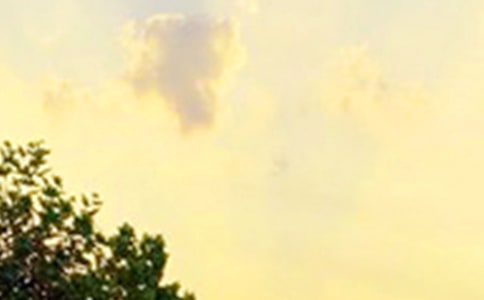 ���ر�����ܰ���簲������źϼ�56��