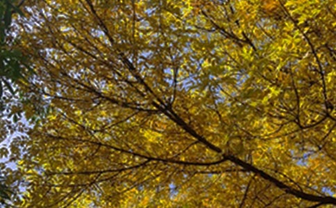 2024���̵��ʺϸ����ѵ��簲�ʺ�����źϼ�54��