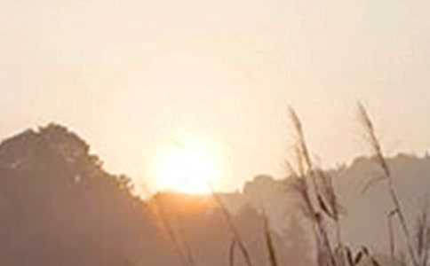 �����š�2023��ÿ��һ���簲�ʺ������19��