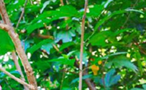 早安共勉句子语录27句