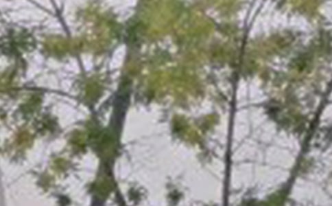 2022��ʵ�õ�����ϵ�簲�ʺ�����źϼ�45��