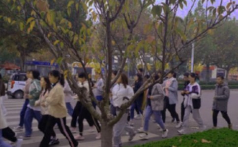 ��ٳٵ�������15ƪ