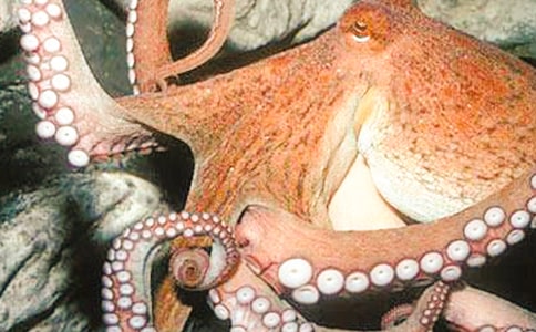 �����������������