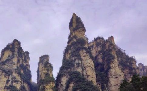 张家界一游作文600字