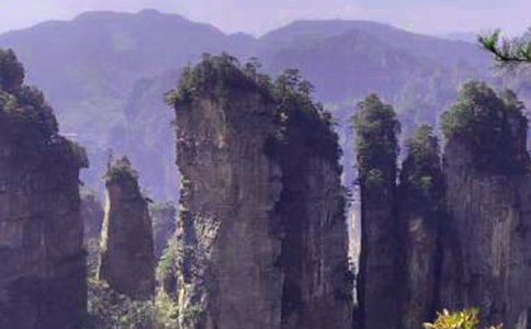 张家界游记作文500字