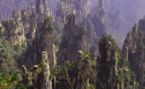 ���˵��żҽ�