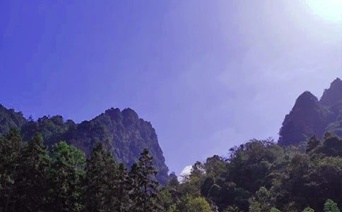 �����˵��żҽ硷��ѧ���