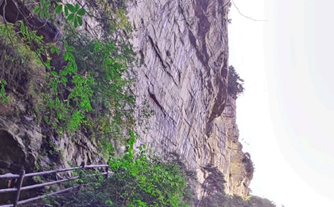 张家界游记作文(热门)