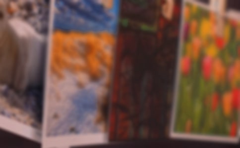 一张旧照片作文15篇【精】