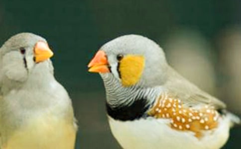 �������ѧ��˼