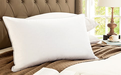 童趣:青皮包白肉,像个大枕头,莫听名字冷,热天菜场有(打一植物)