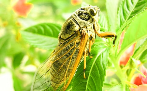 ֪��ѧ������