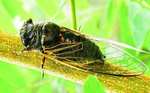 ׽֪������450�֣���ѡ22ƪ��