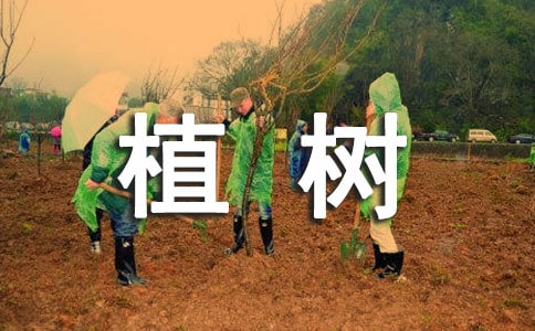 ��ֲ���������ˡ��̰�