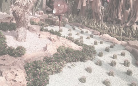 ֲ��԰���滮����