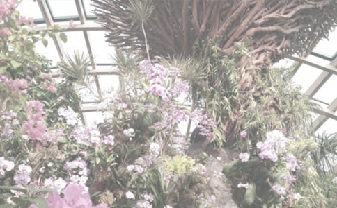 有关植物园日记模板锦集七篇