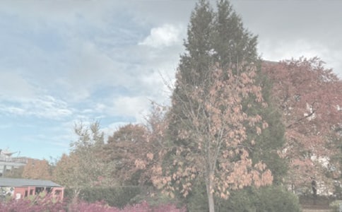 ֲ��԰�ۺ�У���ѡ21ƪ��