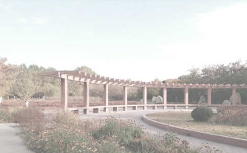 游北京植物园作文 -作文