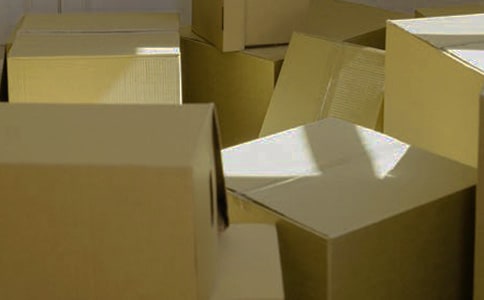 中班体育活动设计教案《百变纸箱》