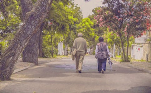 �����꼶��������