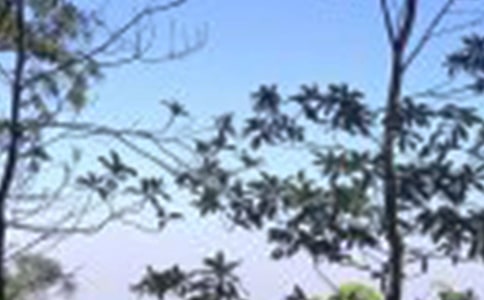 һ�����������˵�˵˵����