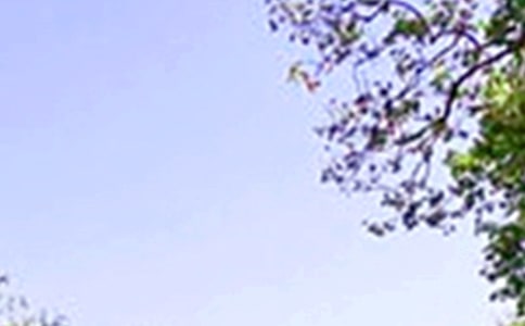 一觉睡到大中午的说说