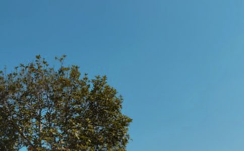 记事作文:那个中午的窃读滋味