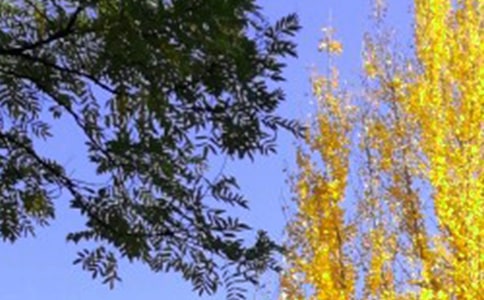 ��������600��10ƪ