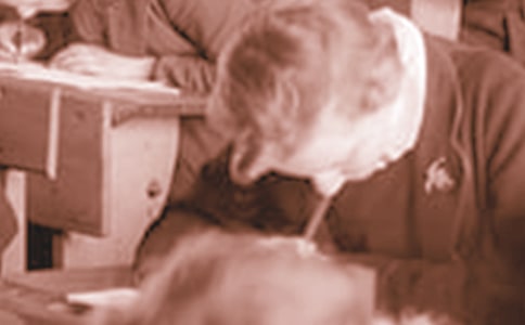 ������ѧ������