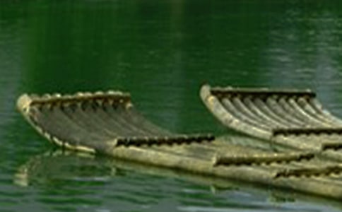 ���ǵ�����������