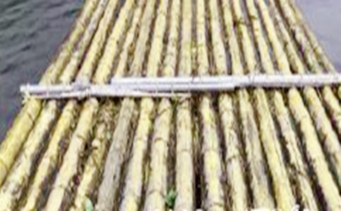 竹筏娃娃作文150字