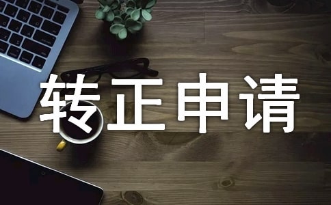 网站建设人员的转正申请书