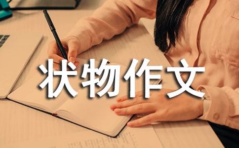 状物作文600字(通用24篇)