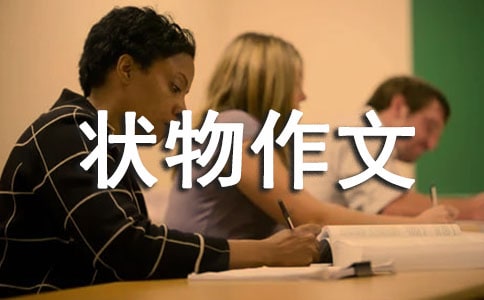 ���꼶״������300��ʮƪ