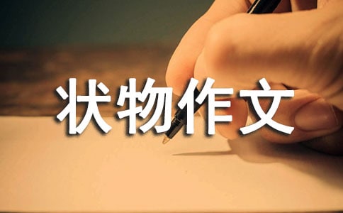 【必备】四年级状物作文4篇
