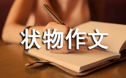 С��������ָ����״������