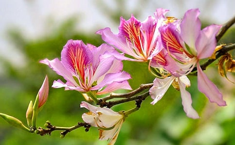 ��д�Ͼ����ĺôʺþ�öη���