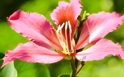 �Ͼ���������